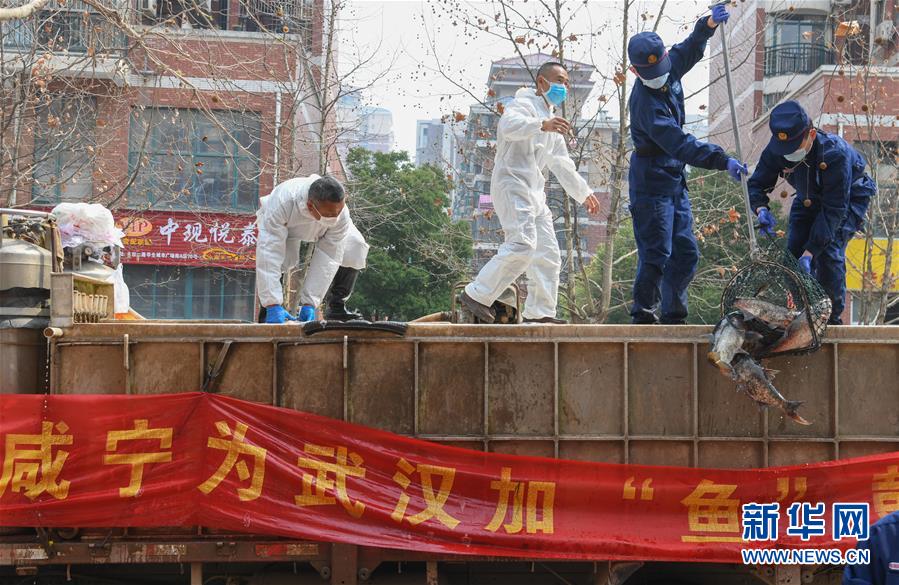 （新華全媒頭條·圖文互動）（12）從人民中汲取磅礴力量——習(xí)近平總書記同出席2020年全國兩會人大代表、政協(xié)委員共商國是紀(jì)實