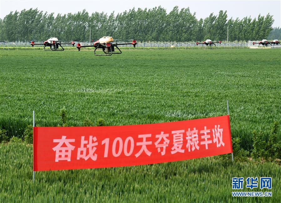 （在習近平新時代中國特色社會主義思想指引下——新時代新作為新篇章·習近平總書記關切事·圖文互動）（9）新農事、新希望——夏收前田間新動態(tài)掃描