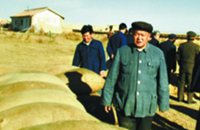 無限忠誠，一生不渝的信仰