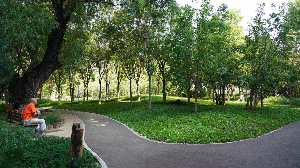 北京：老百姓家門(mén)口的綠地公園
