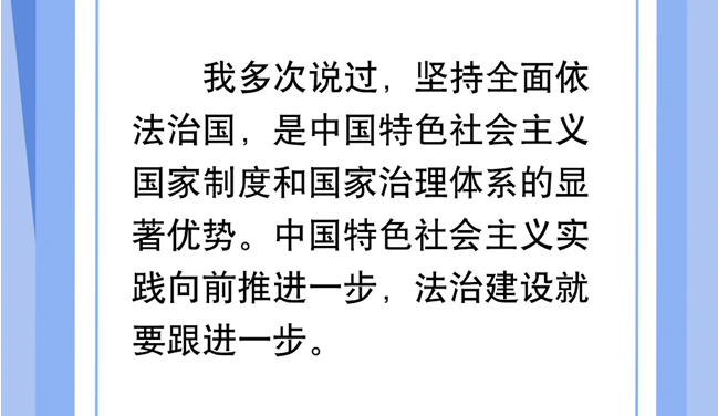 學習網評：發(fā)揮好法治在國家治理中的效能
