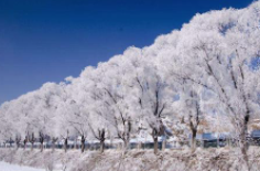 全國(guó)初雪時(shí)間表出爐 看看你離初雪還有多遠(yuǎn)？