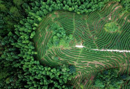 福建龍巖：高效用地，提升生態(tài)環(huán)境水平