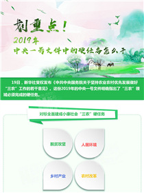 劃重點！2019年中央一號文件中的硬任務怎么干