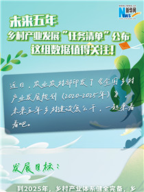 未來五年鄉(xiāng)村產業(yè)發(fā)展“任務清單”公布 這組數(shù)據(jù)值得關注！