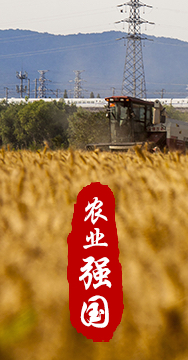 農業(yè)強國是社會主義現代化強國的根基。