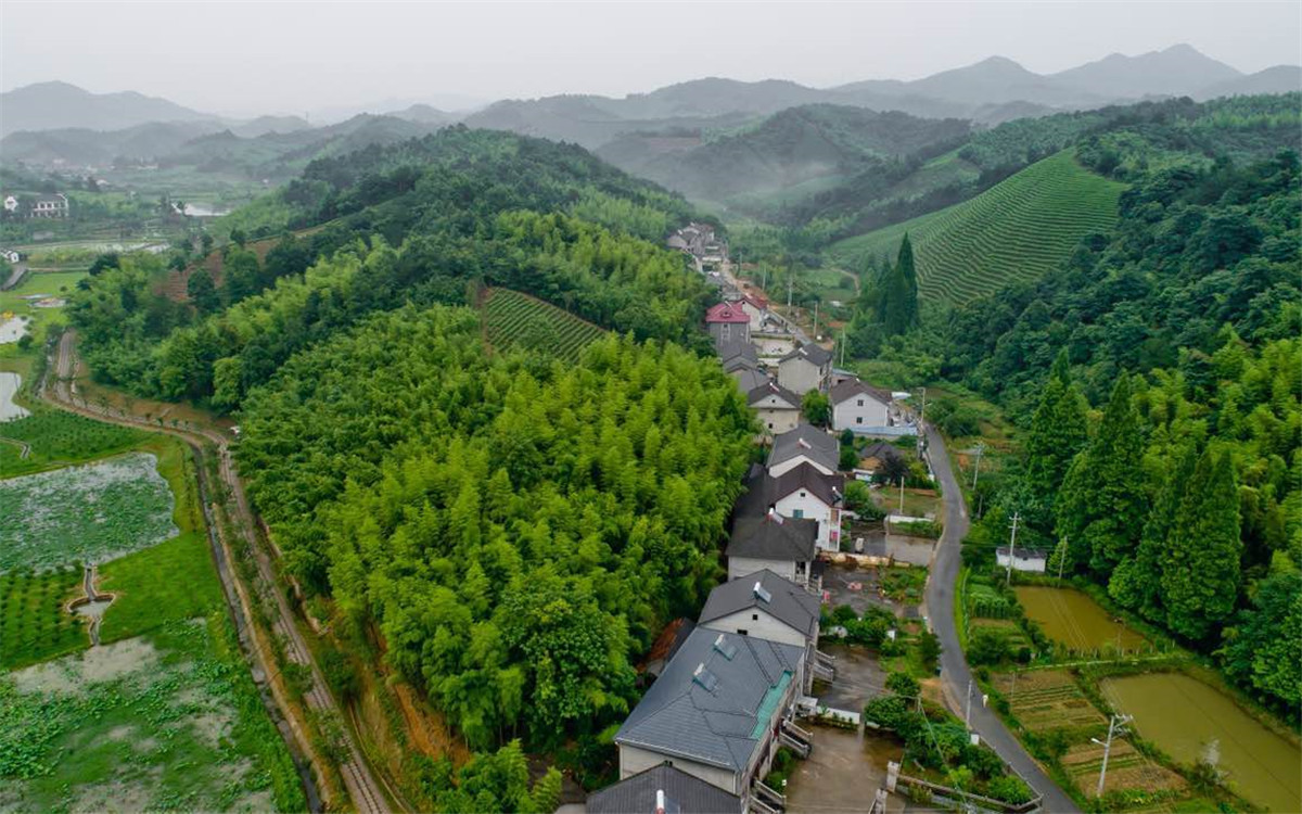 從2003年起，浙江省開展了“千村示范、萬(wàn)村整治”工程