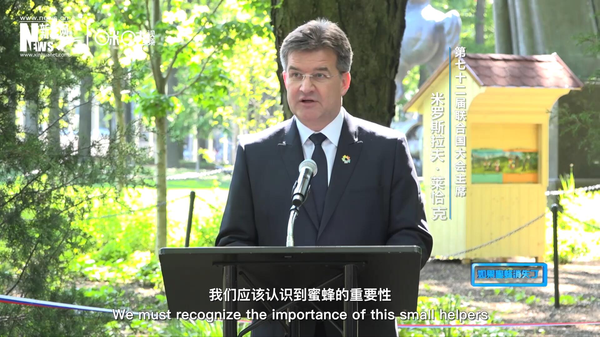 我們應該認識到蜜蜂的重要性，所以我們用“世界蜜蜂日”提高大家保護蜜蜂的意識，并且用實際行動去保護蜜蜂