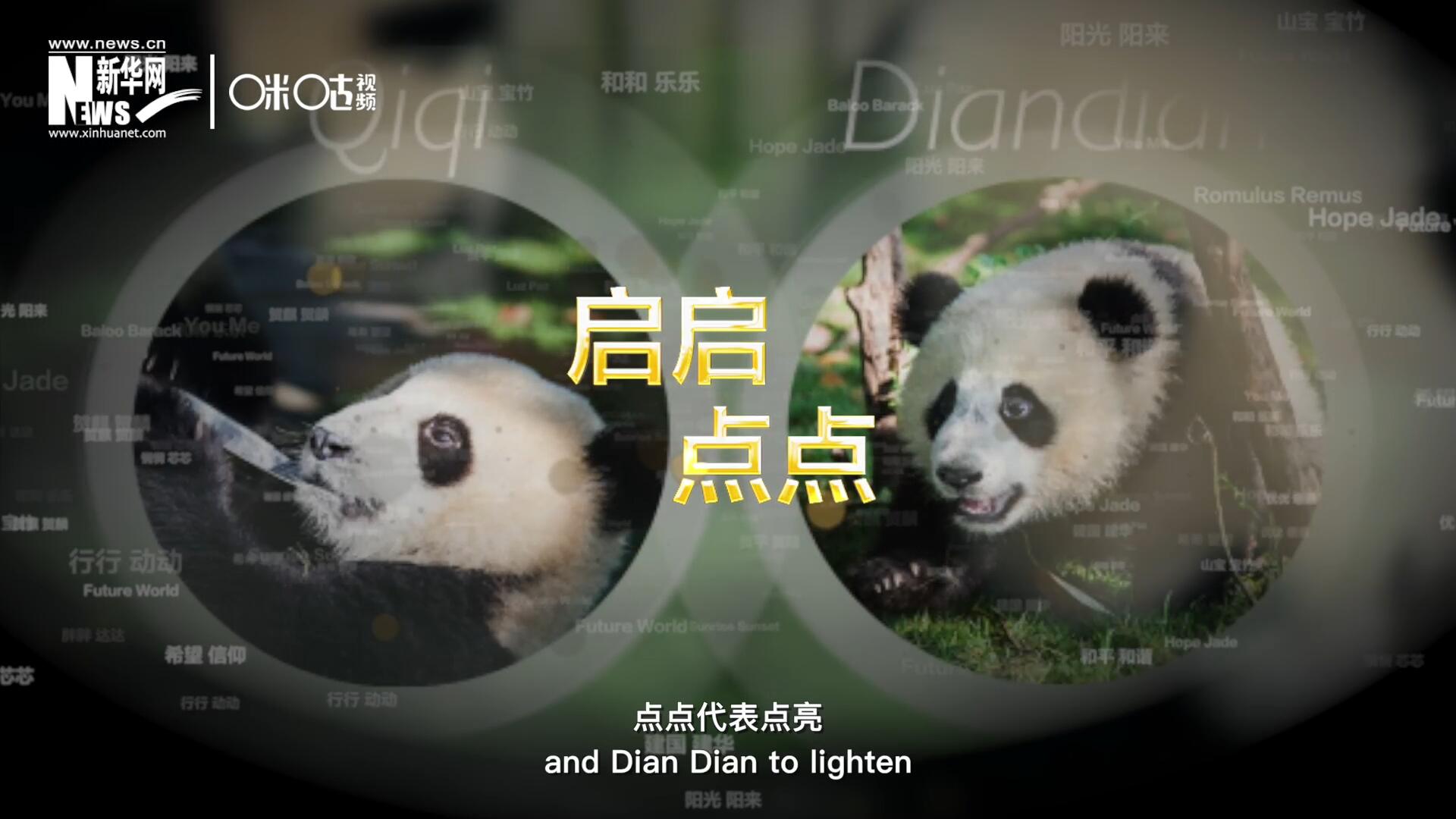 啟啟代表“啟發(fā)”，點(diǎn)點(diǎn)代表“點(diǎn)亮”，象征著2030年可持續(xù)發(fā)展議程 的“起點(diǎn)”，也象征著全球可持續(xù)發(fā)展路徑的新起點(diǎn)。