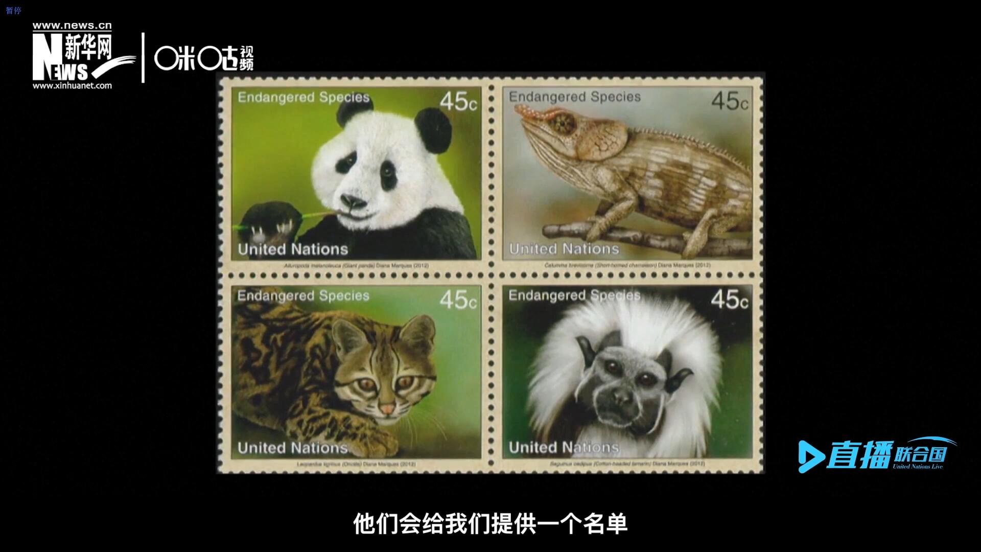 CITES（瀕危野生動(dòng)植物種國際貿(mào)易公約）會(huì)給聯(lián)合國郵政設(shè)計(jì)師提供一個(gè)名單，雙方共同合作在附錄中找到名單中應(yīng)該受到關(guān)注的動(dòng)物。