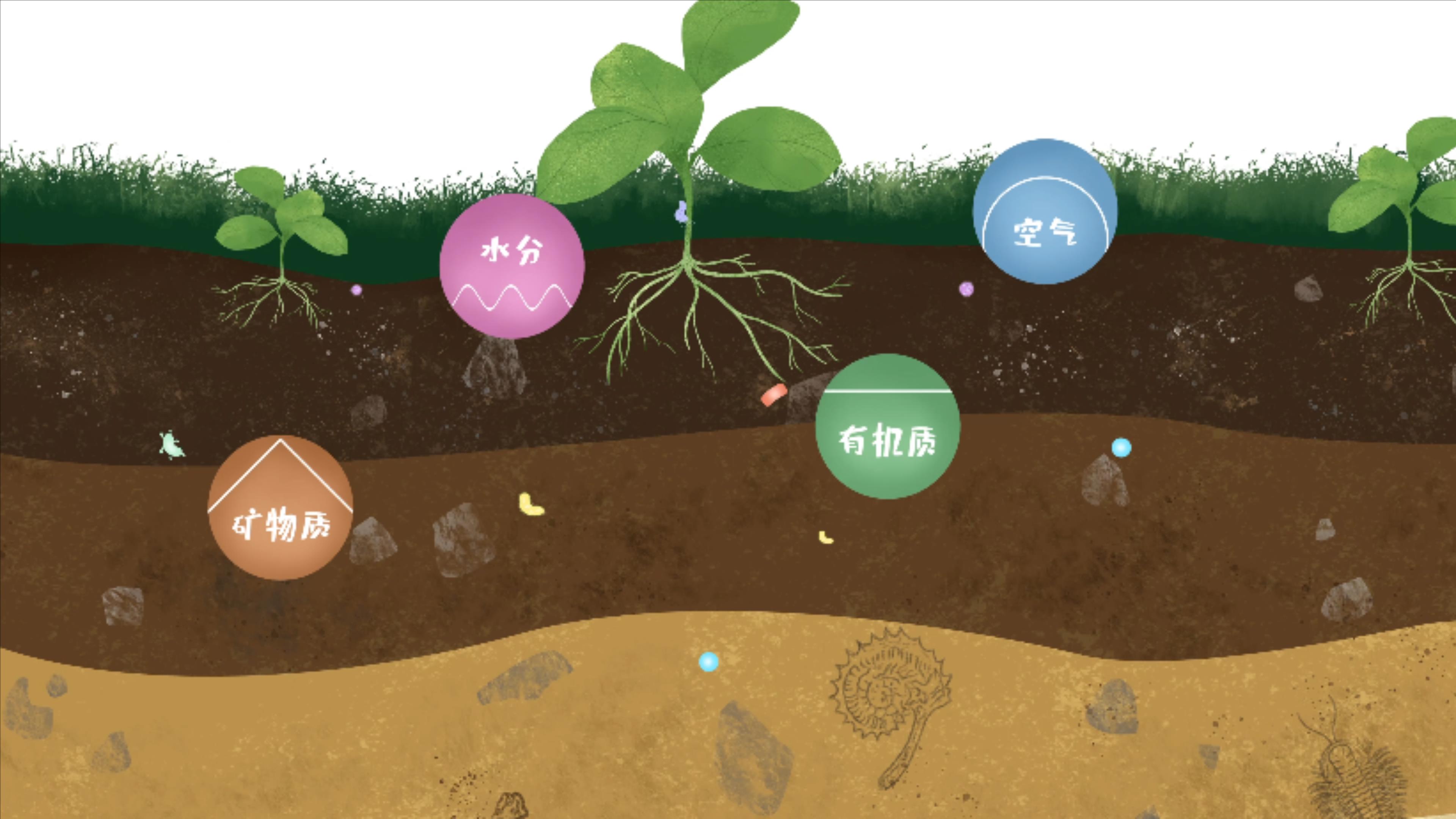 土壤由礦物質(zhì)、有機(jī)質(zhì)、水分、空氣及包括微生物在內(nèi)的生物體等組成