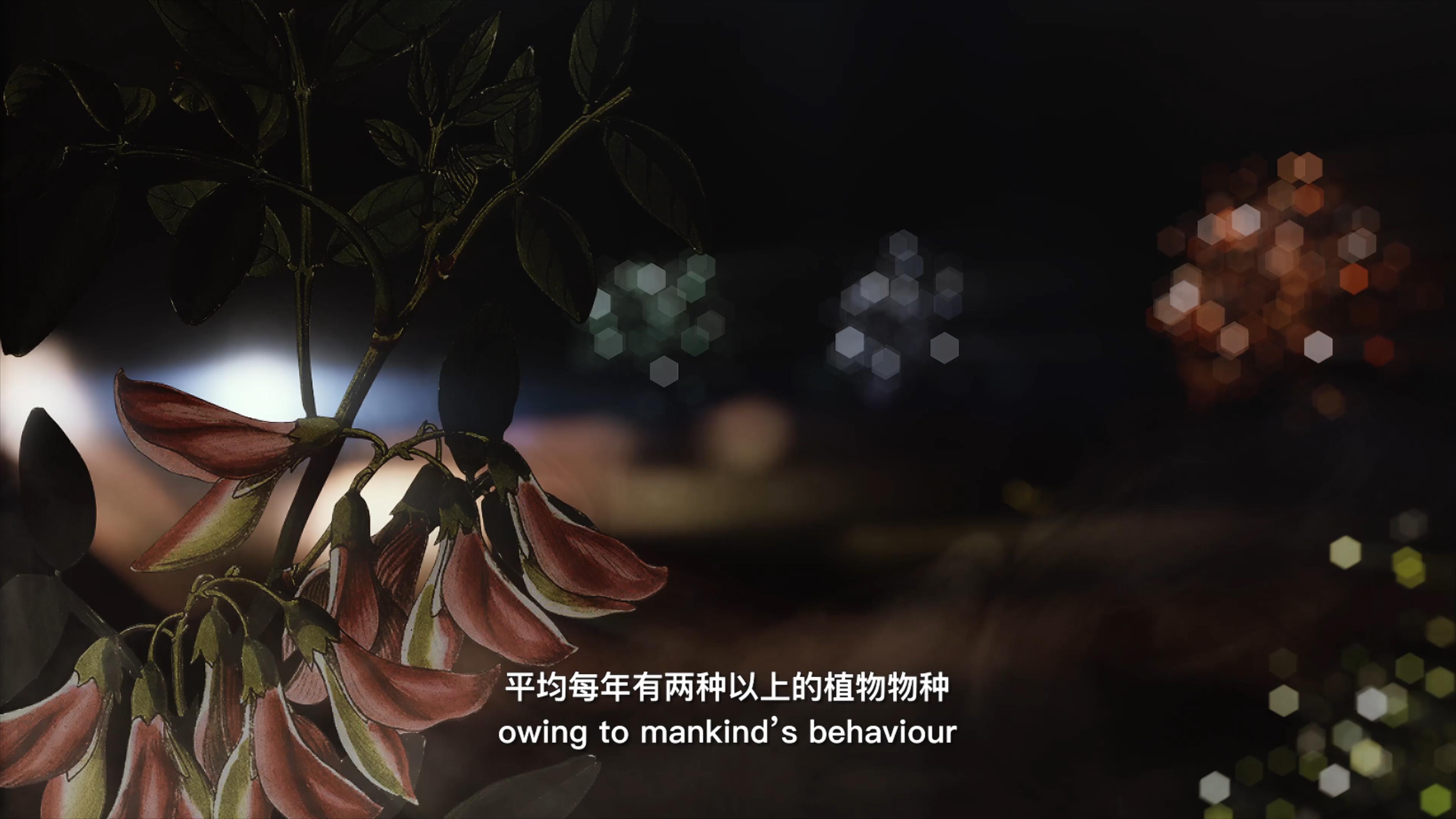 自18世紀(jì)中葉以來(lái)，許多植物物種因?yàn)槿祟?lèi)的原因而從地球上消失