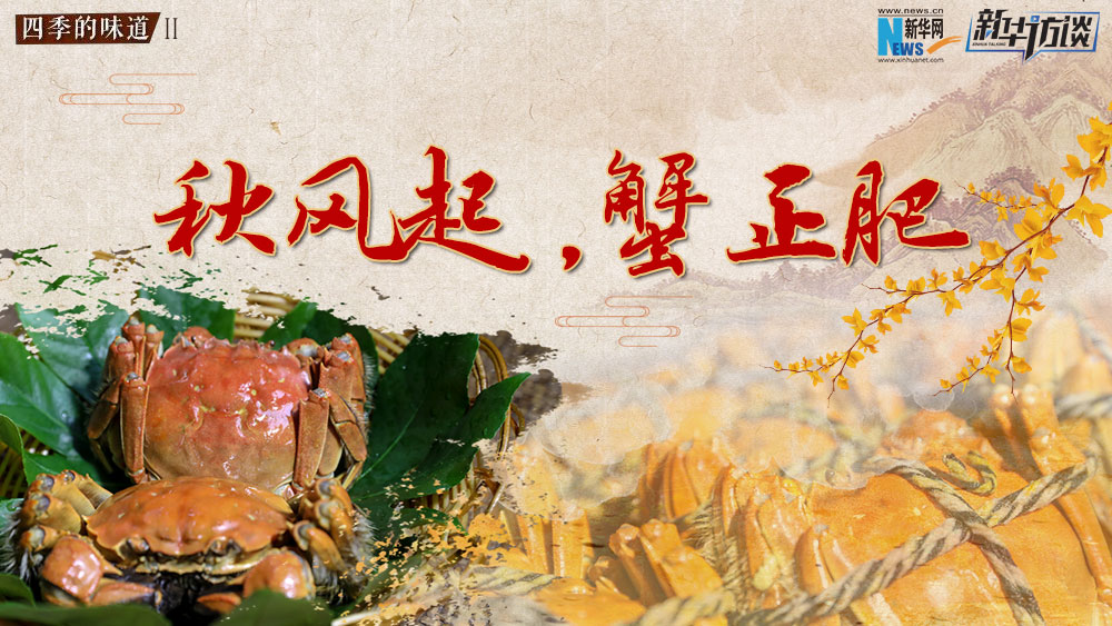 秋風(fēng)起，蟹正肥