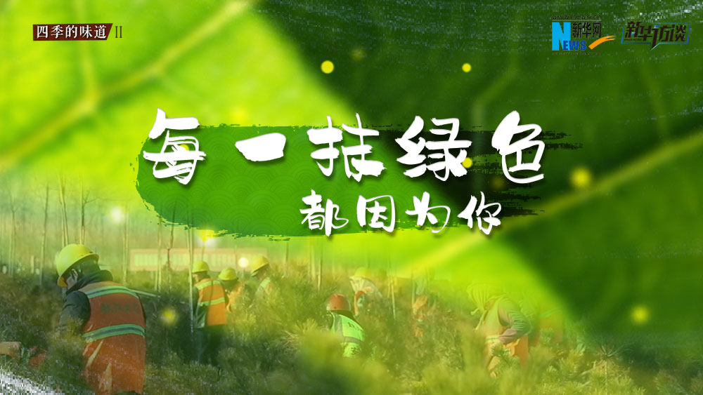 千年秀林，每一抹綠色都因?yàn)槟? /></p>
<p class=