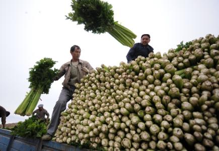 劉永富：發(fā)展產(chǎn)業(yè)脫貧仍是精準(zhǔn)扶貧、精準(zhǔn)脫貧主攻方向