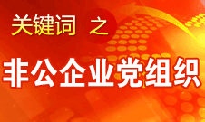 王京清：非公企業(yè)建立黨組織服務(wù)企業(yè)發(fā)展、服務(wù)員工