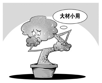 自認(rèn)“大材小用”，不如腳踏實(shí)地