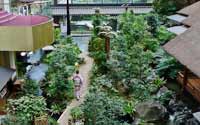 震撼！日本最豪華的廁所（組圖）