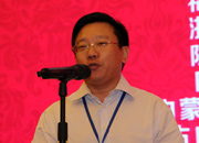 國(guó)際旅游投資協(xié)會(huì)副會(huì)長(zhǎng)、巔峰智業(yè)首席顧問(wèn)劉鋒
