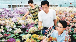 臺商眼中的改革開放：風(fēng)景這邊獨好 要去，要去，要去！