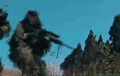 突入，擊斃！直擊武警特戰(zhàn)反劫持演練！