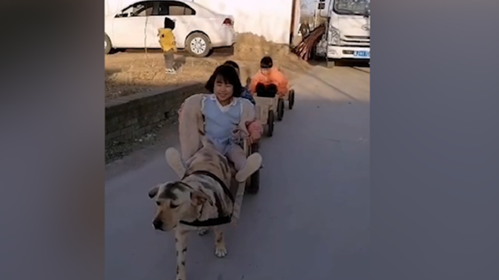 男子給孩子做縮小版小火車，家里的狗狗做動力拉著孩子上學