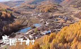 探秘關(guān)東人家，畫一個童話里的秋天