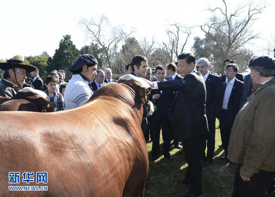 當?shù)貢r間7月19日，正在對阿根廷進行國事訪問的國家主席習近平參觀共和國莊園，考察阿根廷農(nóng)牧業(yè)，了解阿根廷農(nóng)牧民文化特色。新華社記者馬占成攝 