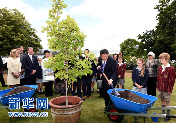 11月18日，國家主席習近平在澳大利亞塔斯馬尼亞州與朗塞斯頓市斯科奇－歐克伯恩小學的小學生共同植樹。新華社記者 饒愛民 攝