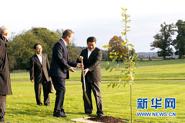 兩國領導人一同在別墅草坪，共同種下象征中英友誼的橡樹。新華社記者 鞠鵬 攝