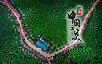江山如畫，想把春的故事講給你聽